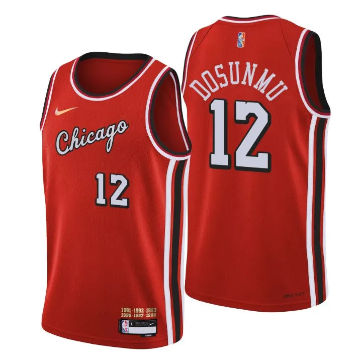 Dosunmu Bulls Red Jersey nike