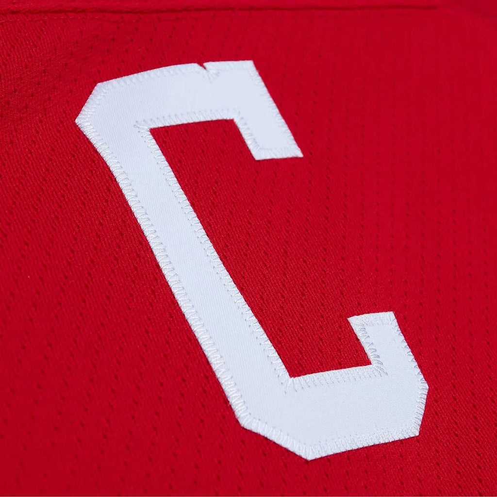 mitchell Gordie Howe Red Wings Jersey - Hình 5